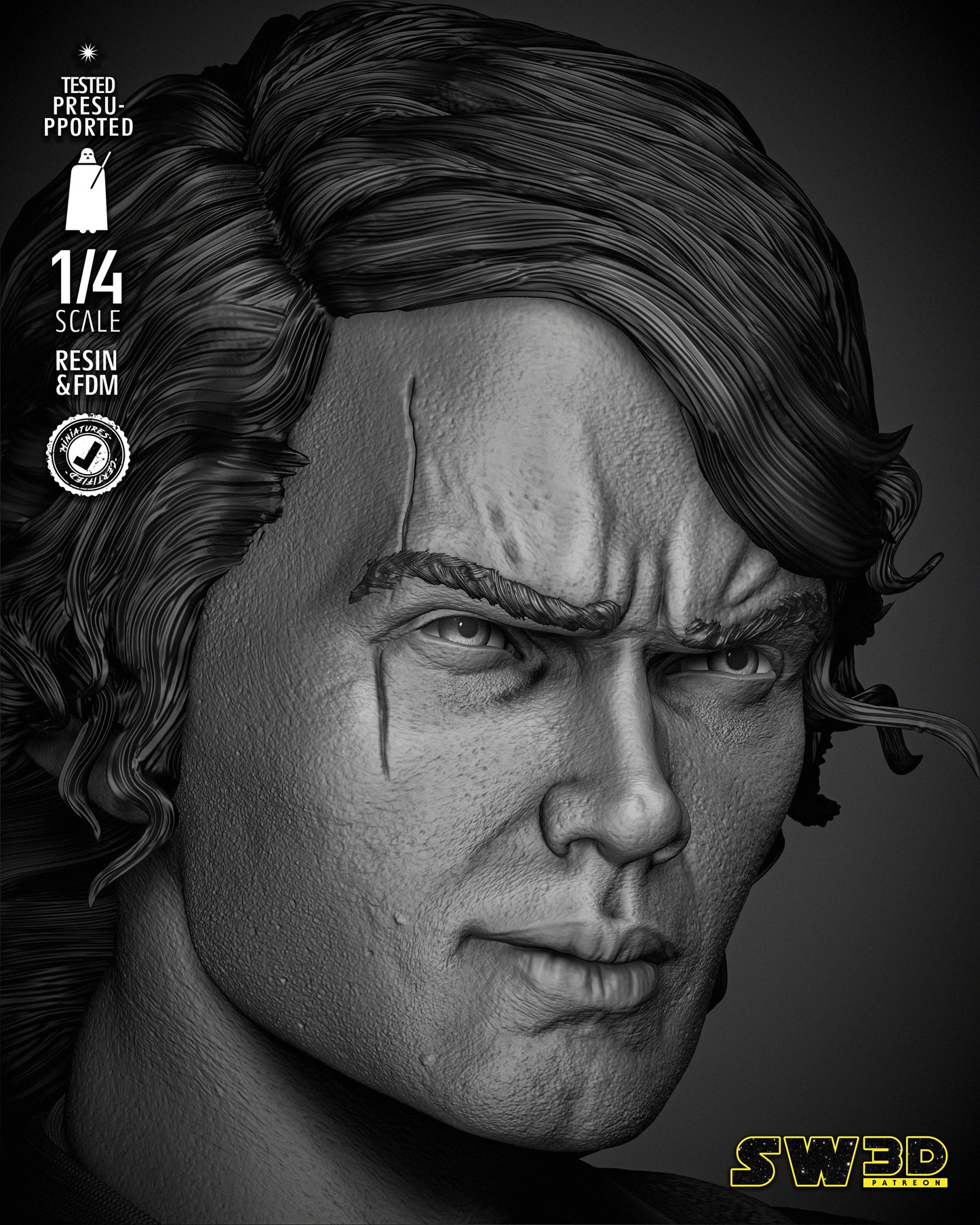 Anakin Skywalker Portrait Bust 093024