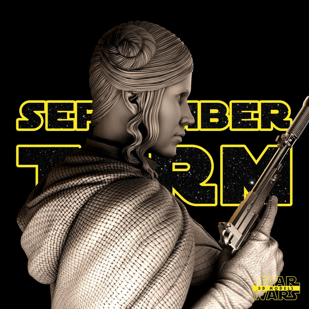 Leia Bust - Star Wars 3D Models