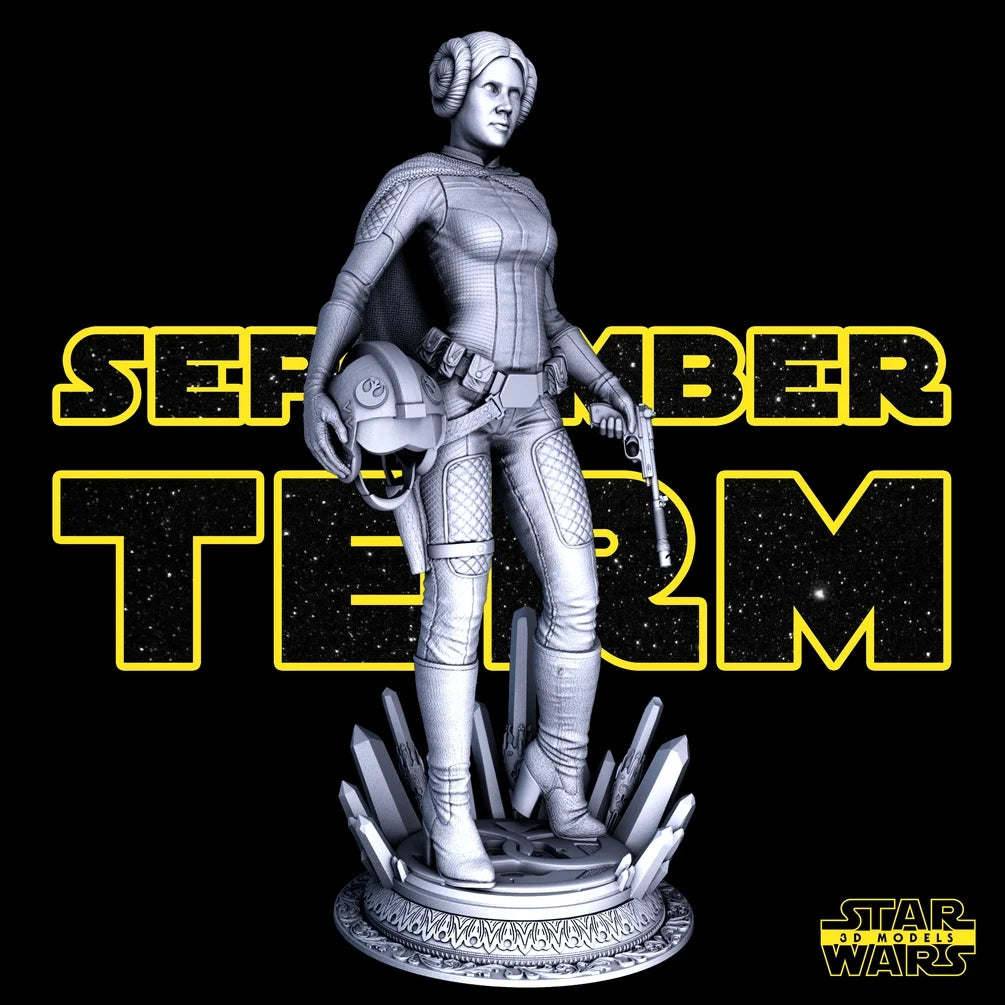 Leia Sculpture - Star Wars 3D Models