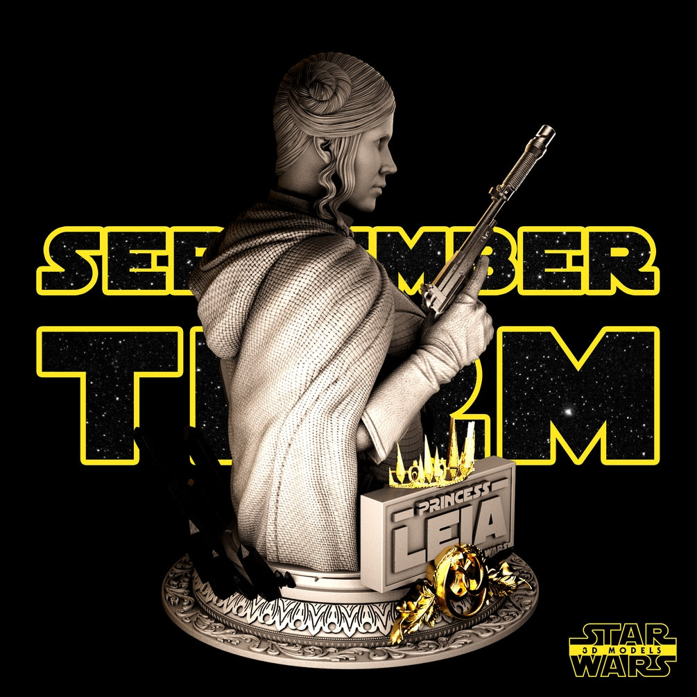 Leia Bust - Star Wars 3D Models