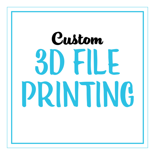 Custom 3D FIle Printing