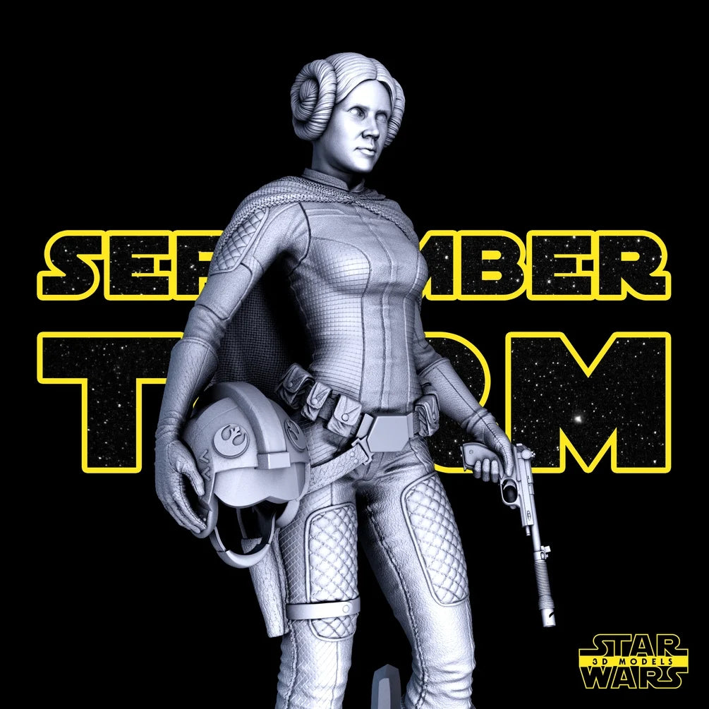 Leia Sculpture - Star Wars 3D Models