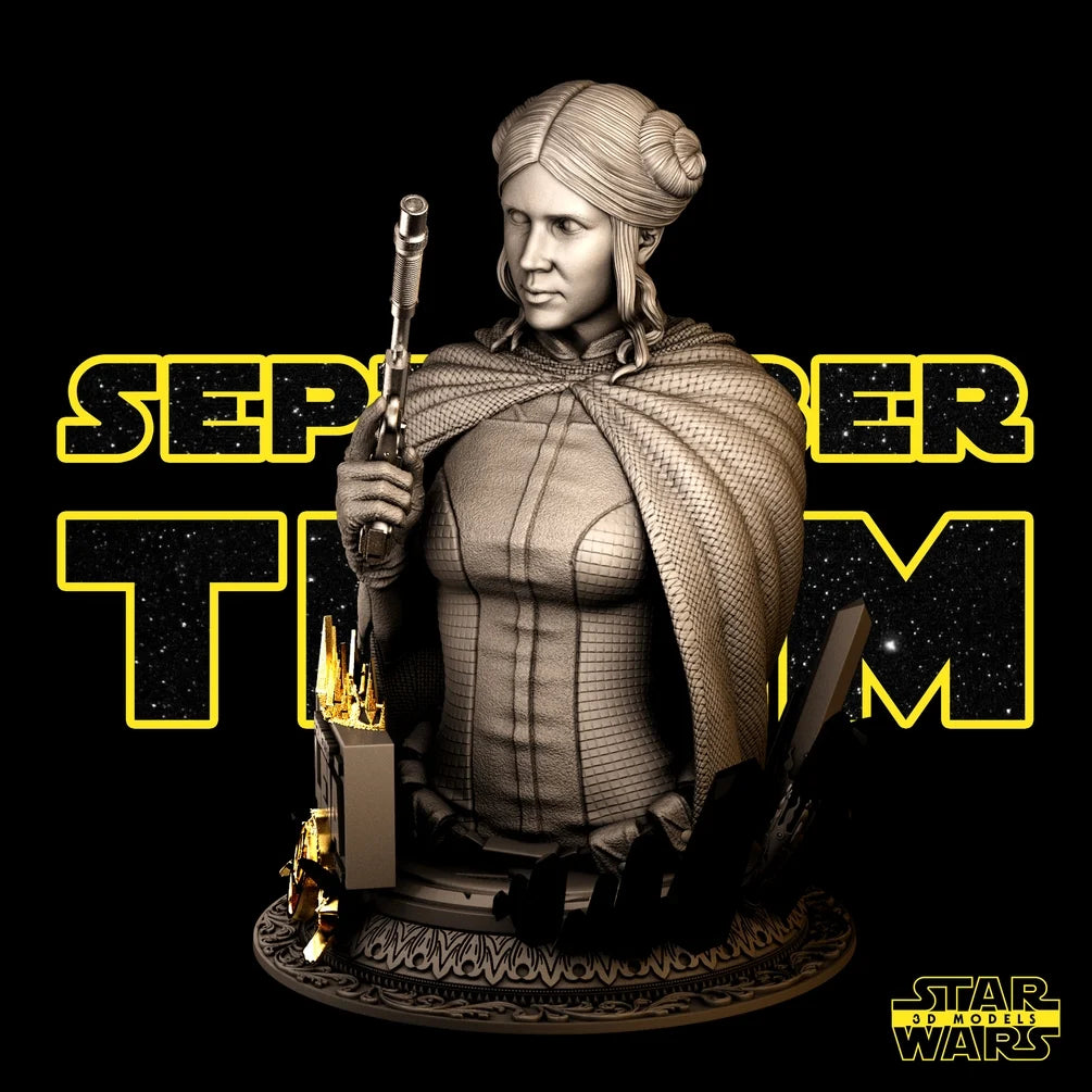 Leia Bust - Star Wars 3D Models