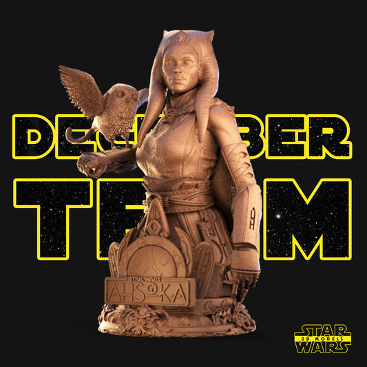 Ahsoka Bust - Star Wars 3D Models