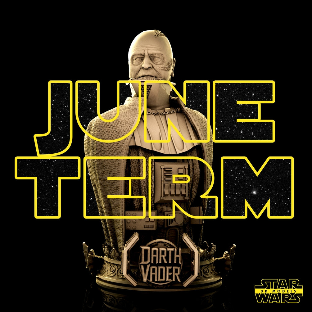 Darth Vader Bust - Star Wars 3D Model