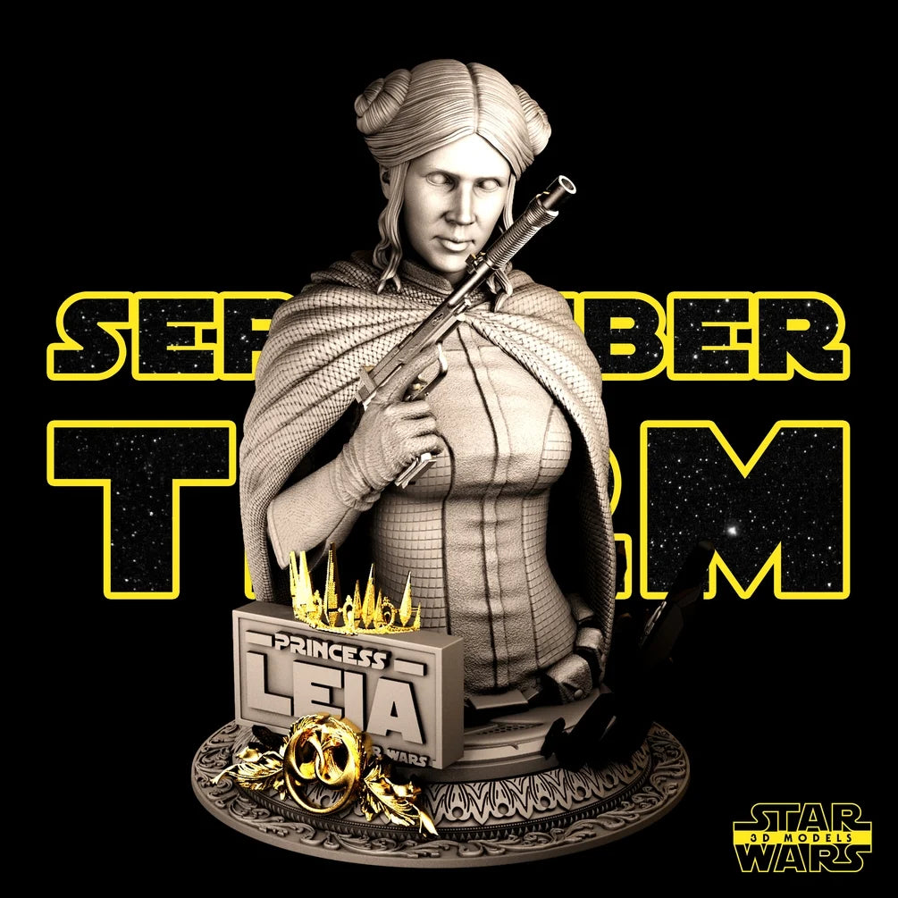 Leia Bust - Star Wars 3D Models