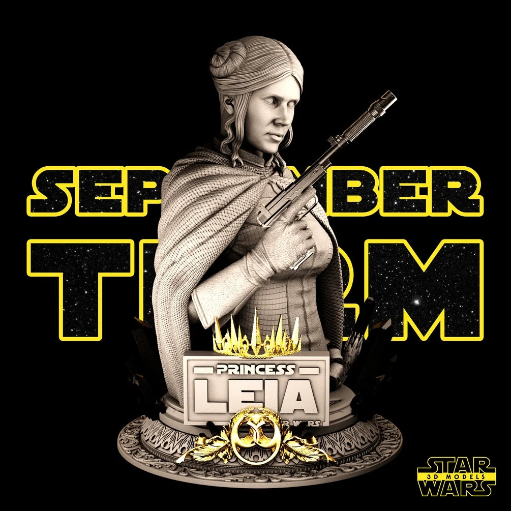 Leia Bust - Star Wars 3D Models