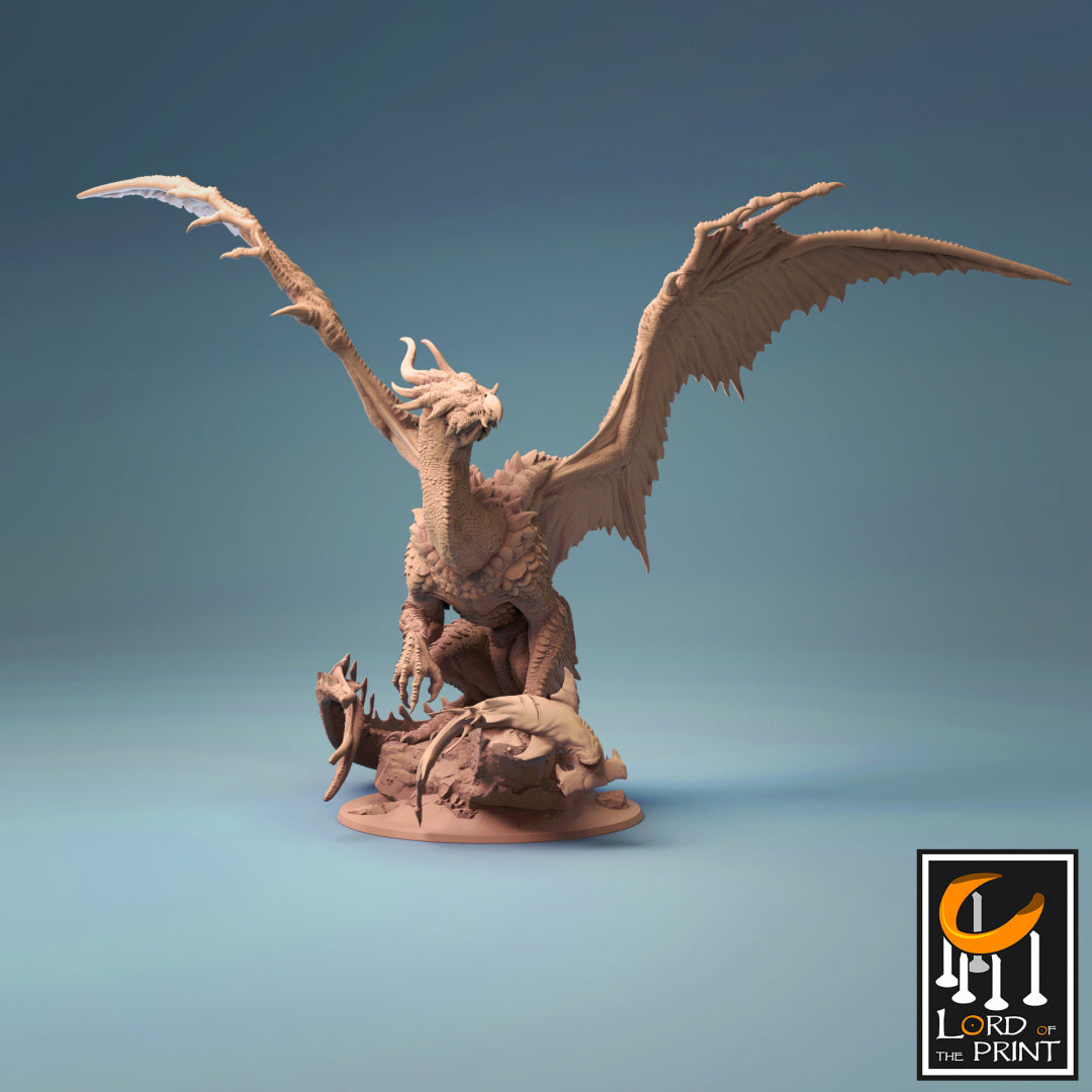 Bronze Dragon