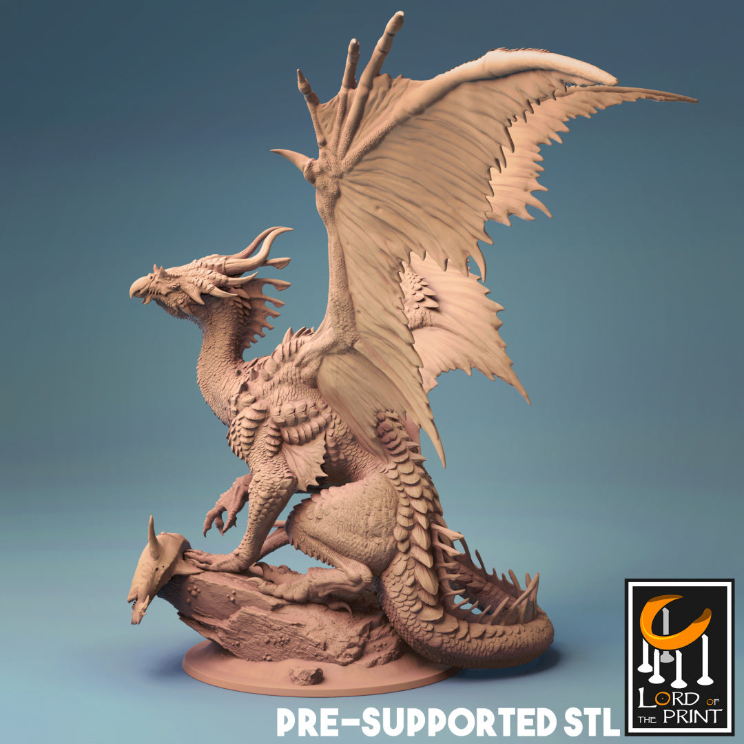 Bronze Dragon