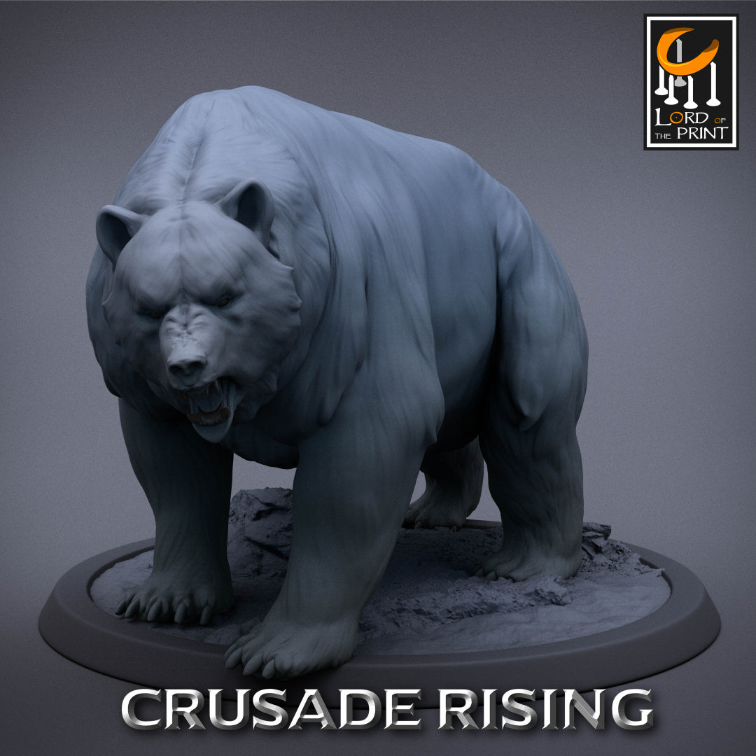 Crusade Rising Templar Bear Unmounted and Wild