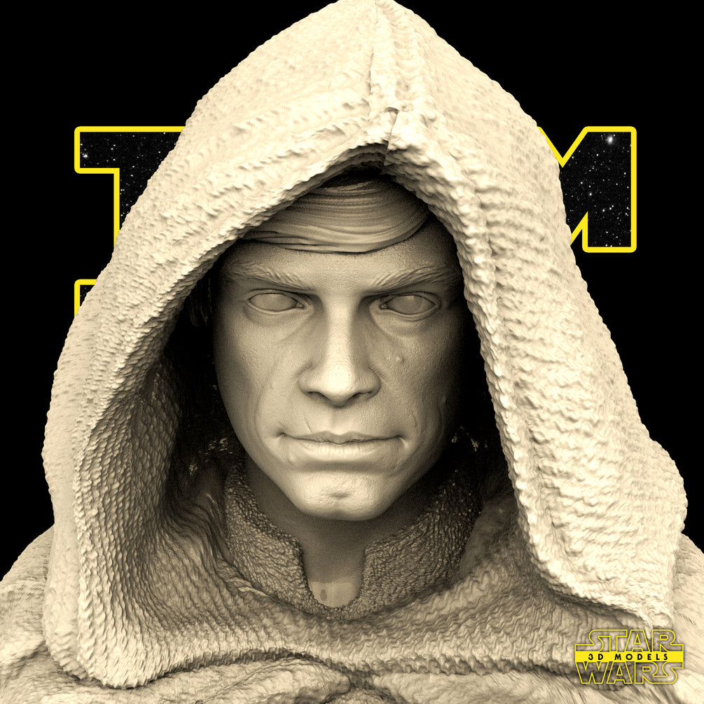 Luke Skywalker Sculpture - Star Wars 3D Model