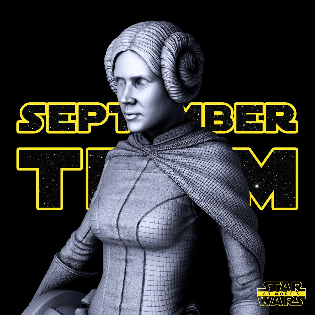 Leia Sculpture - Star Wars 3D Models