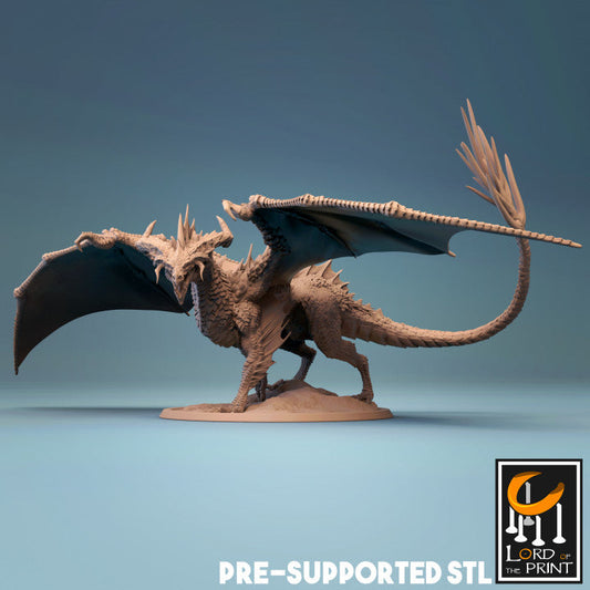 Adult Black Dragon